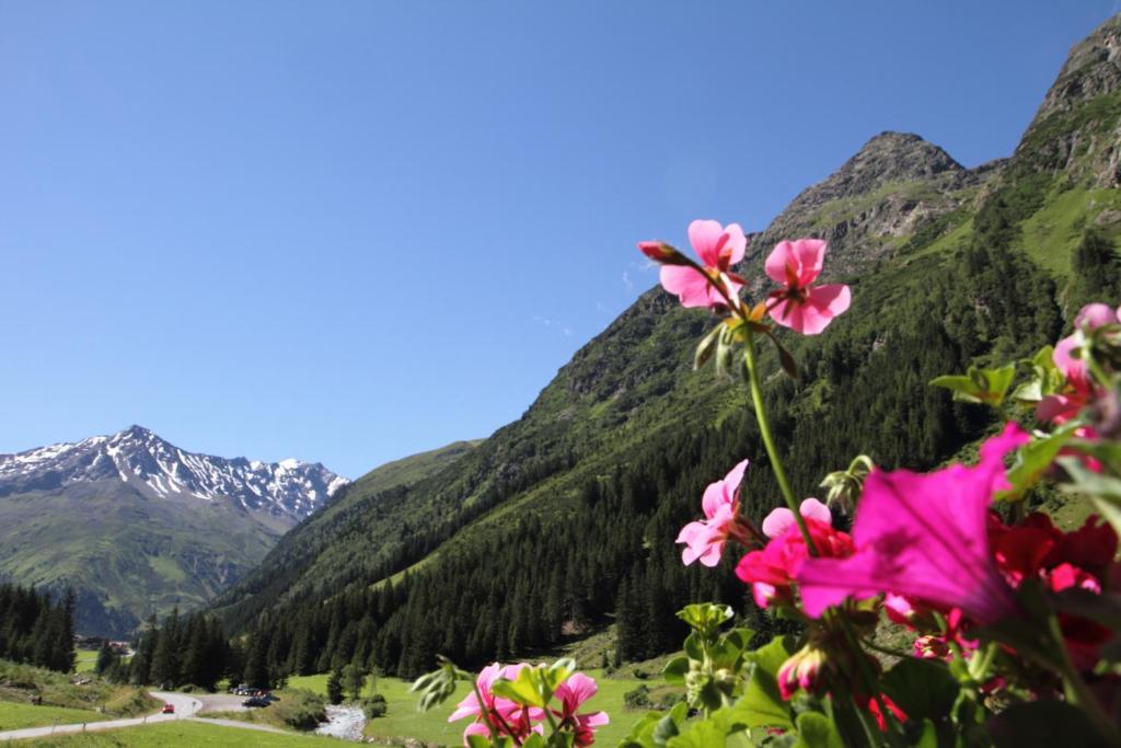 Haus Elisabeth Hotel Sankt Leonhard im Pitztal Cameră foto